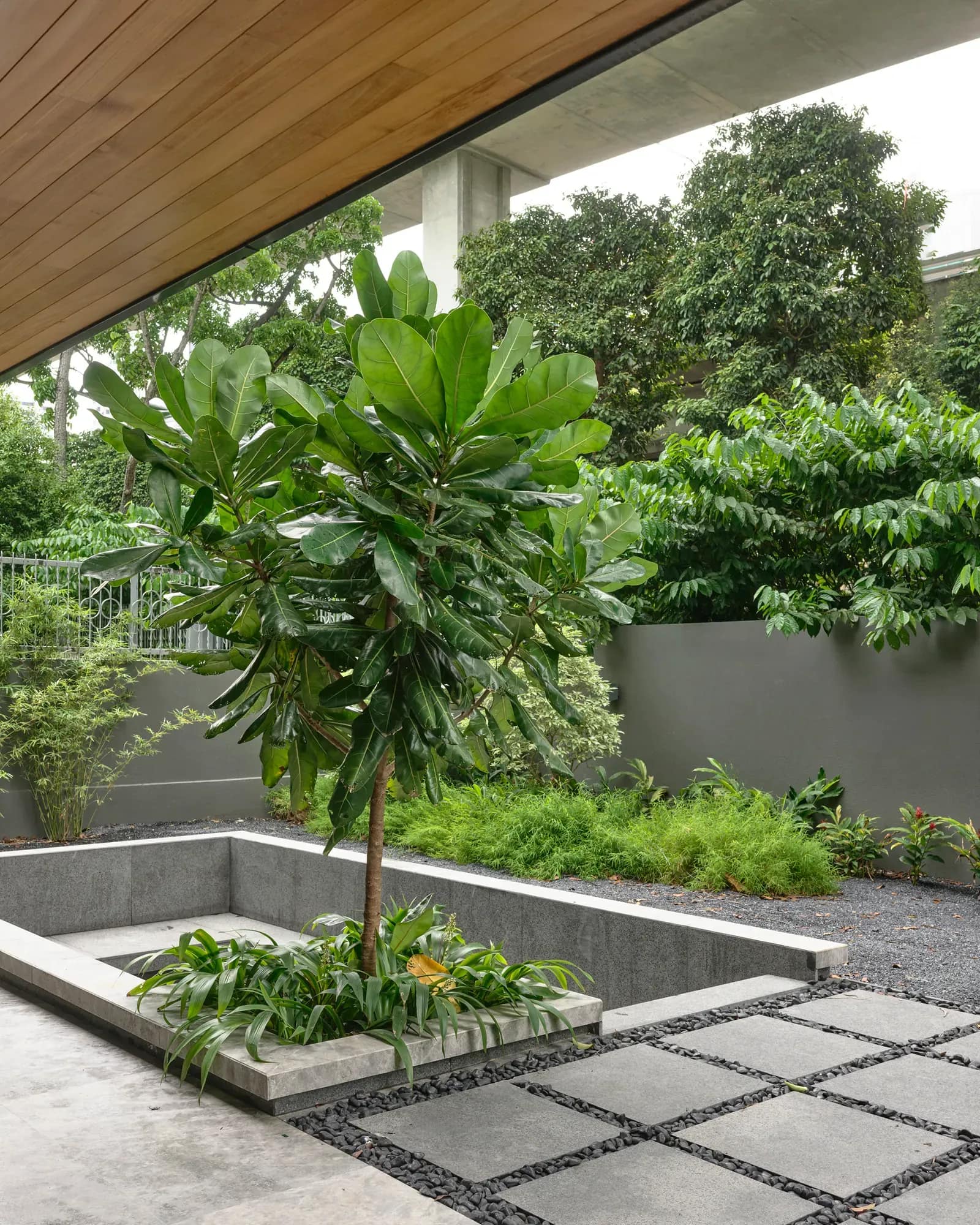 The garden at The Tembusu House, seen from under the timber-lined overhang.